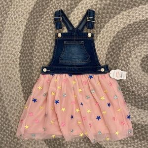 Adorable Overall Dress (size 4T)
